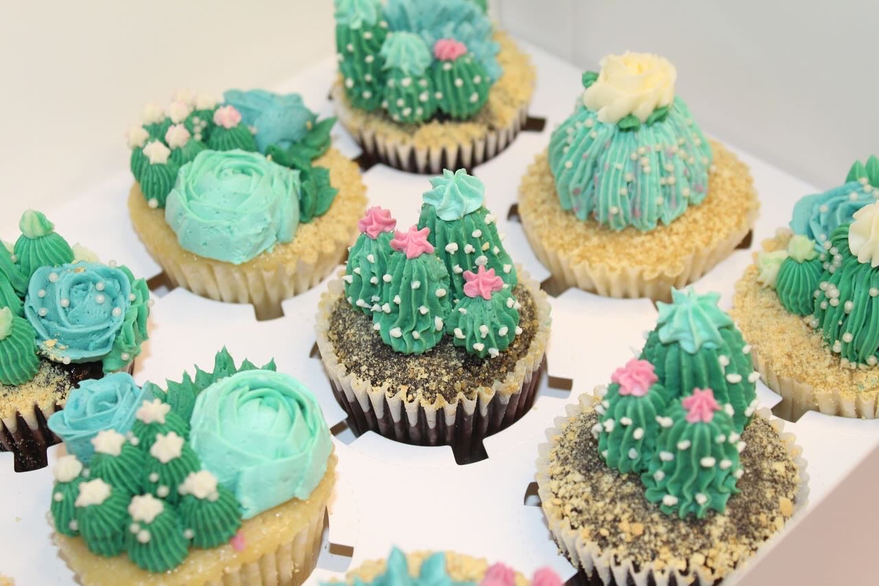 Succulent Cupcakes