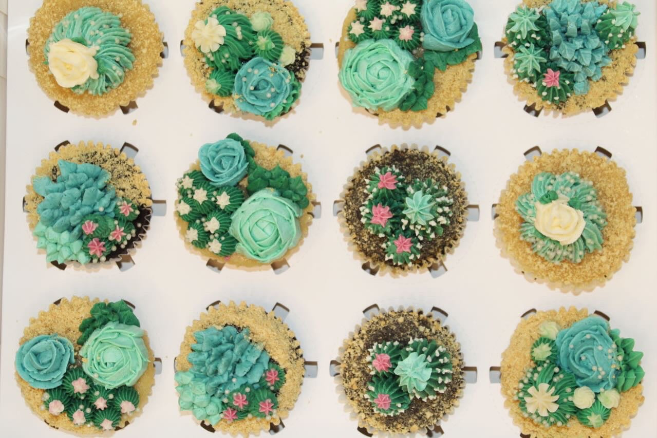 Succulent Cupcakes